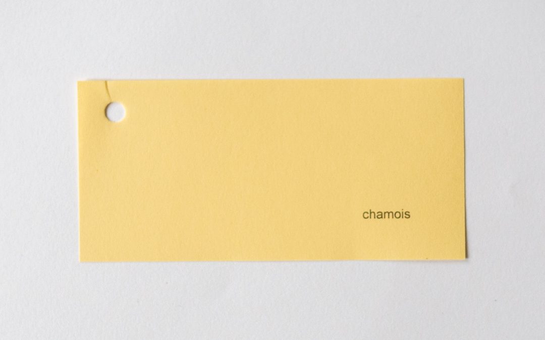 chamois